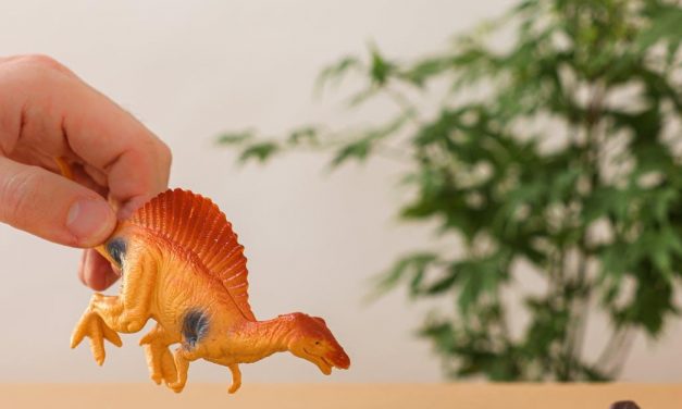 5 gaveideer til din søn, der elsker dinosaurer